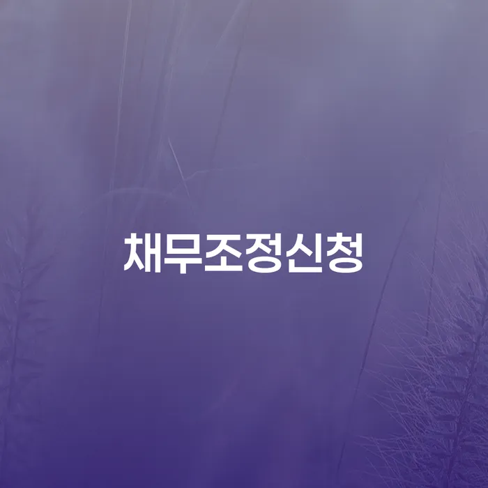 재회생 개인회생 제도 신청했을 경우