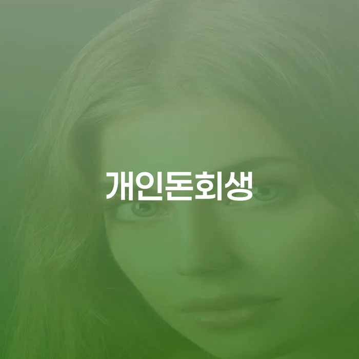 강남구 개인신용평가 대출 연체 개인회생 알아보기