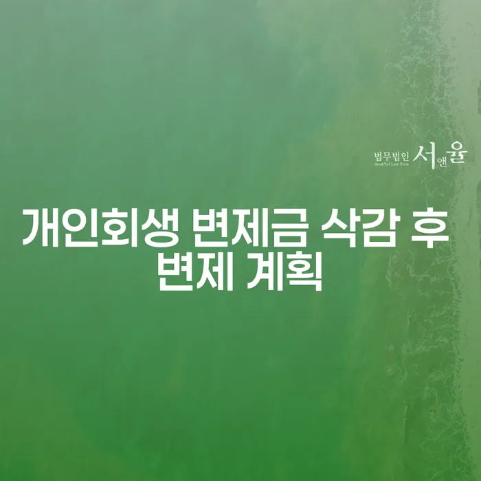 개인회생 변제금 삭감 후 변제 계획, 가능할까요?