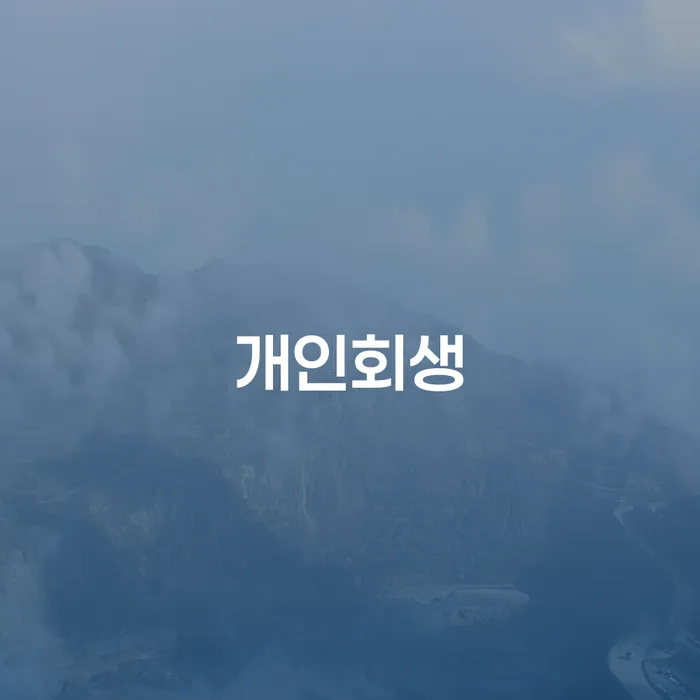 당진시 개인회생 절차와 성공 사례