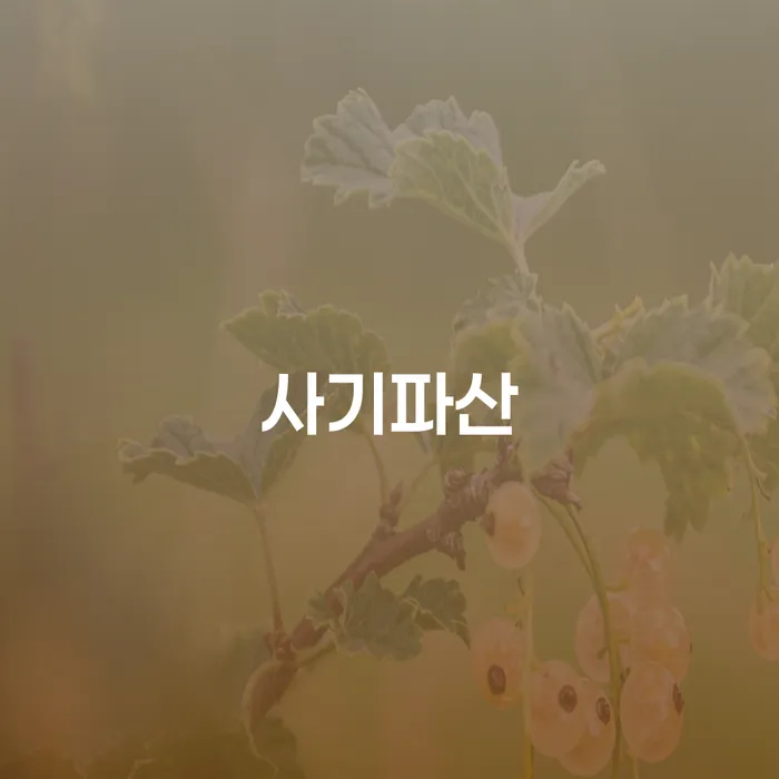 사기파산: 어떻게 대처할 것인가?