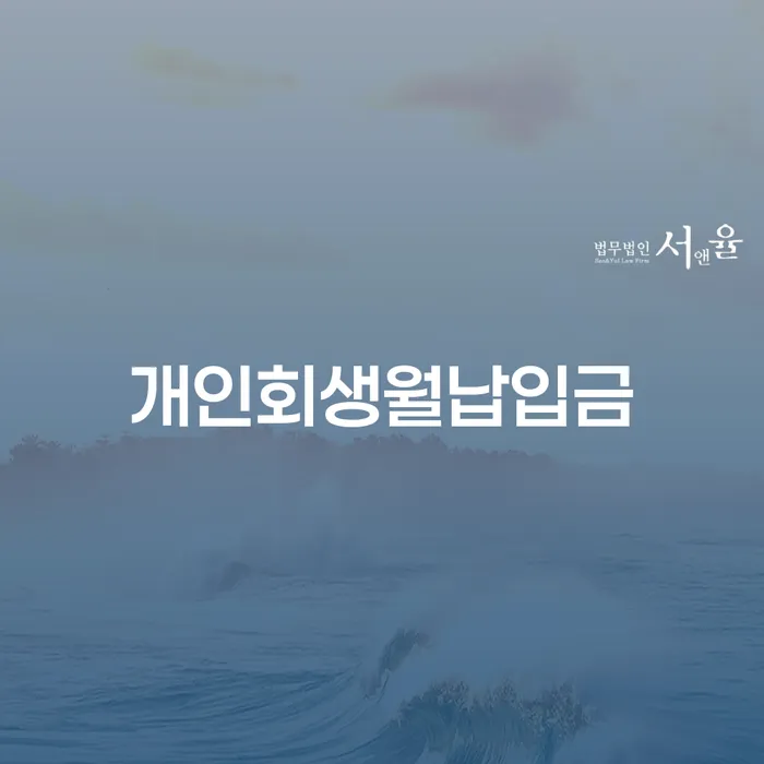 개인회생월납입금, 제대로 알고 최적화하는 방법은?